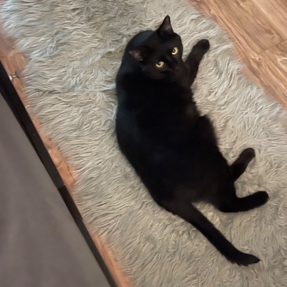 Hey there! - Picture 2 of 2